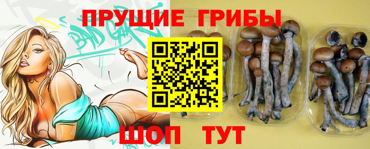 Унеча  Галлюциногенные грибы Psilocybine cubensis  Вход с VPN  Псилоцибиновые грибы ЛСД 